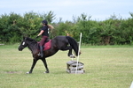 WJ7_4279