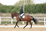 SBM_003694