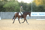 SBM_31146