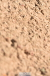 230811A-130510-05060