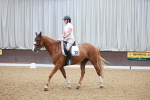SBM_002037
