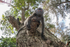 Wide angle photography of a Silver leaf monkey in Malaysia.
