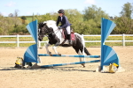 SBM_000756