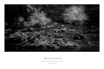 Hillsborough River SP II