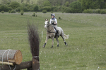 BVHT 140517  IXC -756