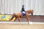 SBM_004690