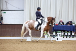 SBM_018909