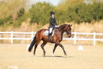 SBM_017686