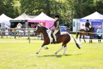 SBM_16366