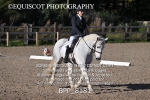 BPP_8181