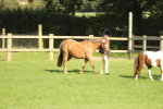 SBM_60794
