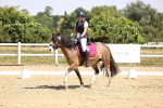 SBM_003965
