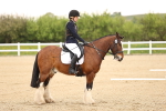 SBM_006483