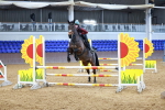 SBM_001459
