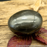 Polished Whitby Ammonite Nodule 030