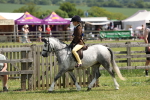 SBM_05338