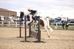 SBM_003976