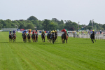 130625-Race 6-Forager-9903