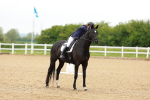 SBM_004751