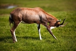 20120903-_MG_9690