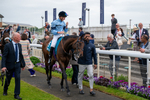150525-Merchant-5791