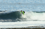 DSC_6040