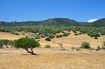Molinos valley, Andalucia, Spain