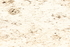 2R6A5251
