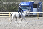 BPP_9371