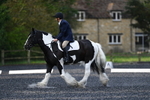 WJ5_8695