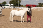 SBM_04593