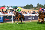 130826-Race 4-Shazani-9084