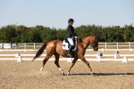 SBM_006869