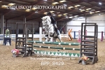 BPP_8429