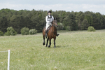 BVHT 140517  NXC -359