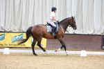 SBM_001041