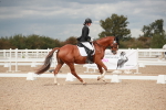SBM_05956