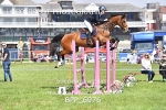 BPP_6976