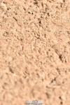230811A-131408-05115