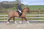 BPP_9444