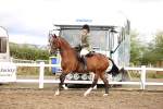 SBM_00595