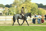 SBM_62603