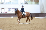 SBM_004266