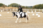 SBM_002725