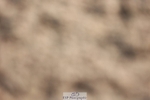 250622-084423-13787