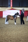SBM_14899