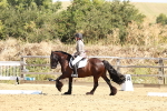 SBM_001486
