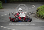 Hill_04-05-2015_KART-8