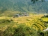Terraces and Fields, Punakha