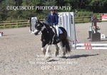 BPP_1393